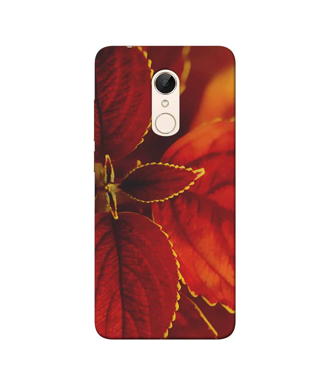 RedmiNote4-67